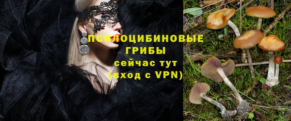 ПСИЛОЦИБИНОВЫЕ ГРИБЫ Беломорск