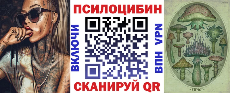 наркота  Инза  Галлюциногенные грибы Cubensis 